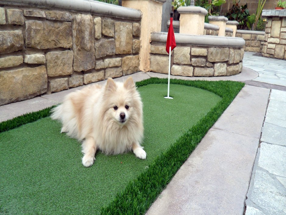 synthetic-grass-installation-santa-ana-9761