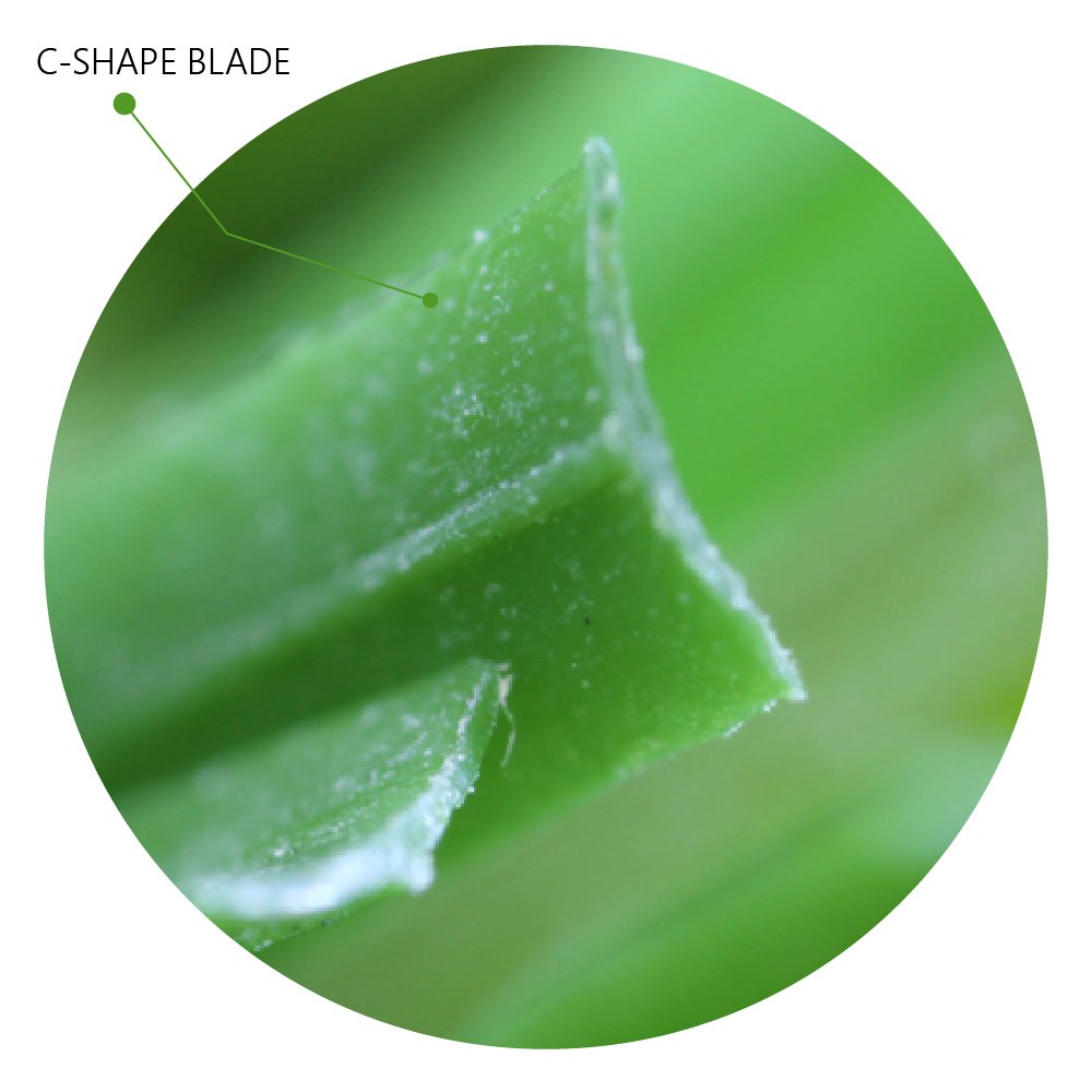 c-shape-blade-artificial-grass