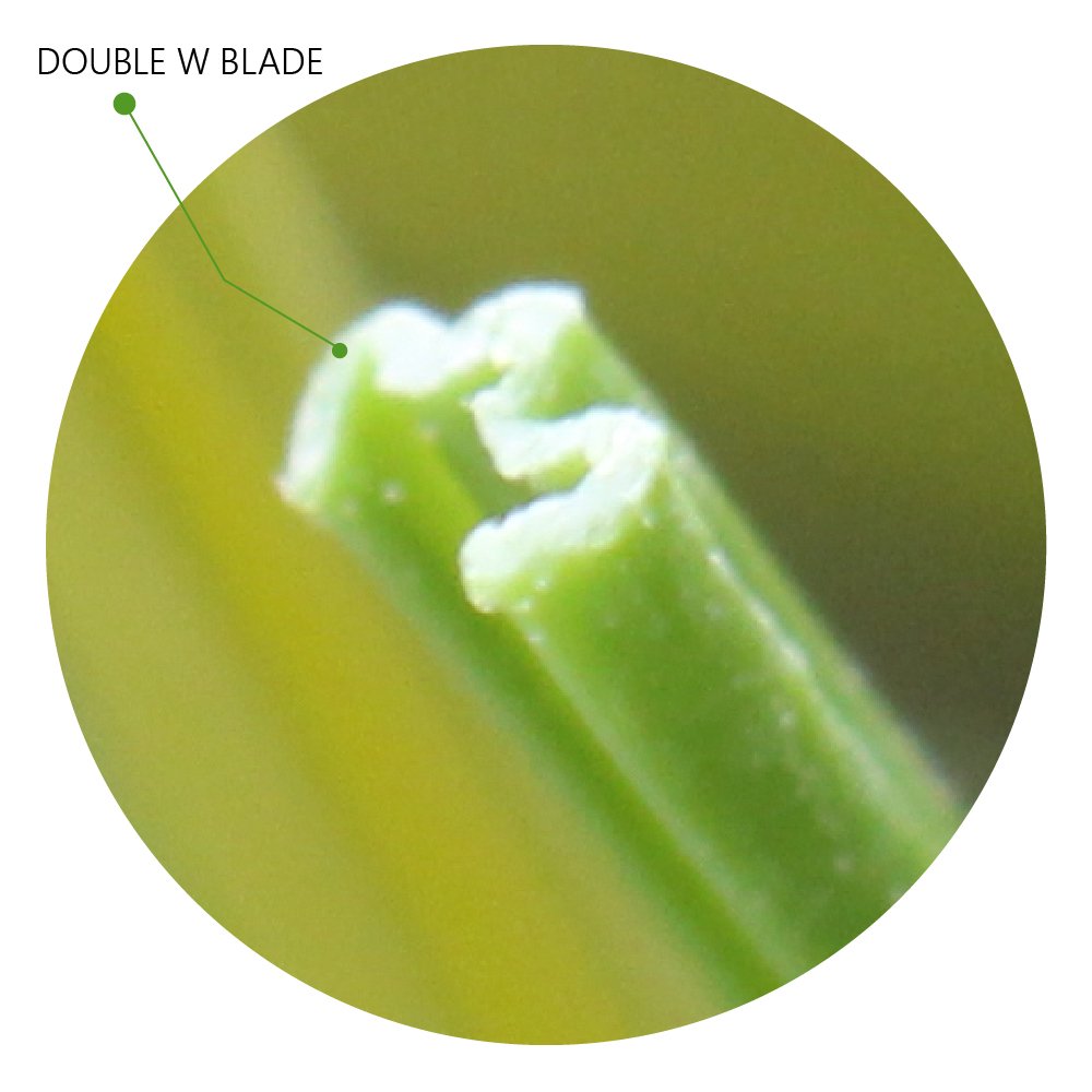 double-w-blade-fiber-artificial-grass