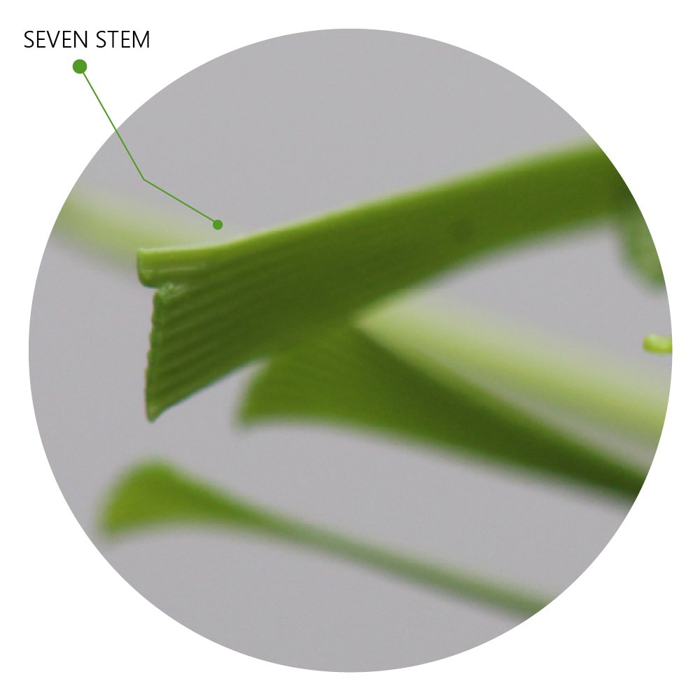 seven-stem-artificial-grass