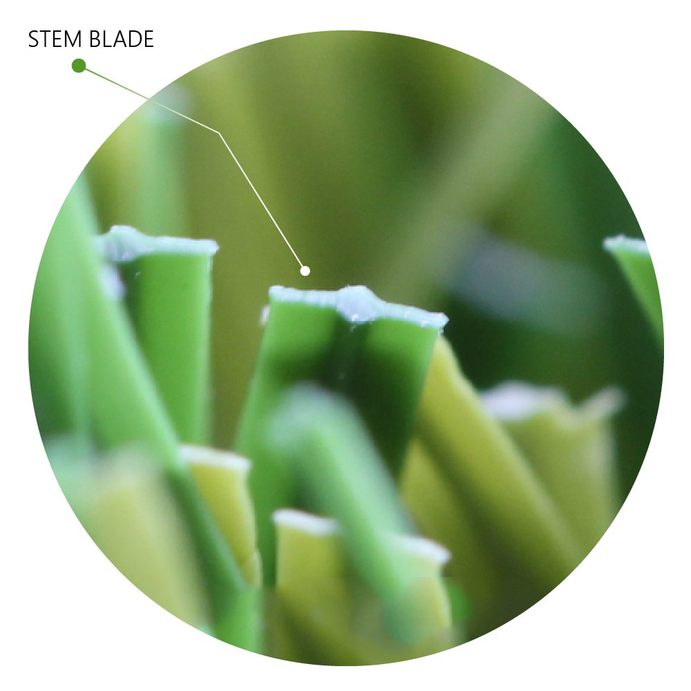 stem-blade-artificial-grass